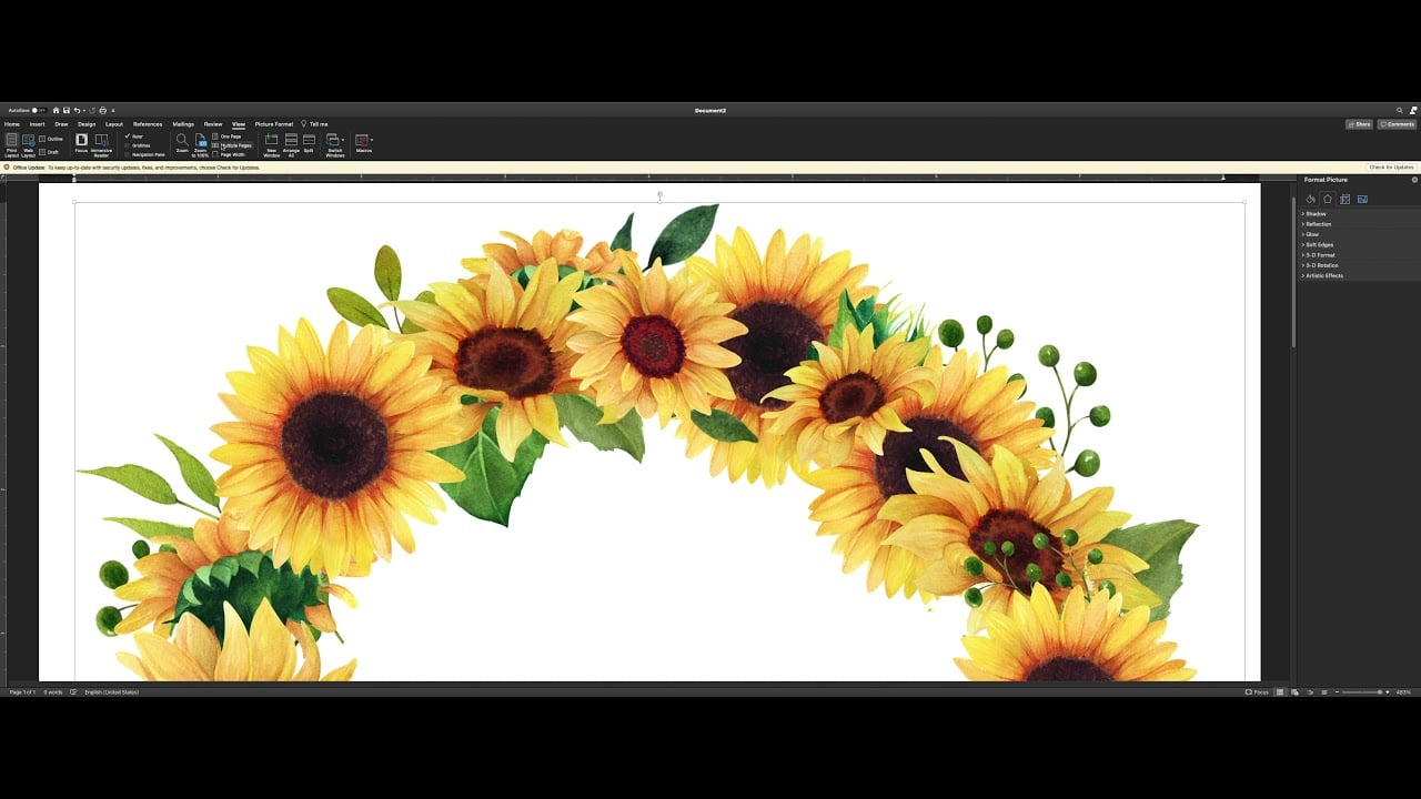 YouTube video player