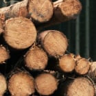 Material - img 12 wood