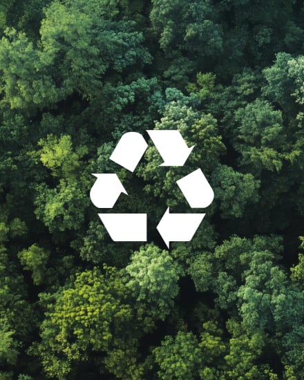 Paper Packaging Solutions - img na banner right