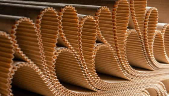 Paper Packaging Solutions - img sustainable 01