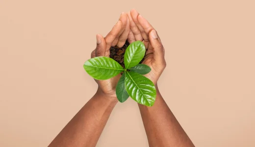 Eco Choices - img we help