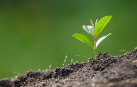Certifications - img why sustainability