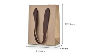 Richapck Premium Luxury Paper Bags with Satin Handles | High-End Packaging for Jewelry Stores Needing a Touch of Sophistication and Exclusivity - 10202