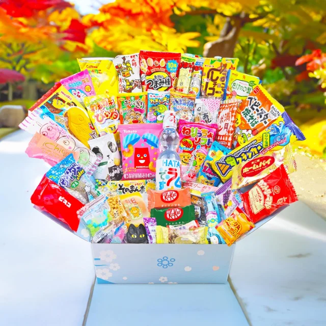Durable Snack Box for Gifts | Japanese-Styled Snack Boxes for Unique Gifting Experiences Custom Designs from Richpack - 91FTFuHj+XL. SL1500