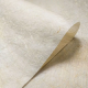 Sustainability - Bagasse Paper