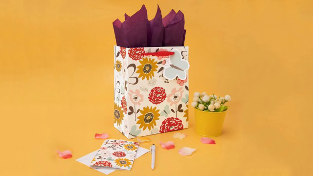 Durable Paper Bags for Repeat Use