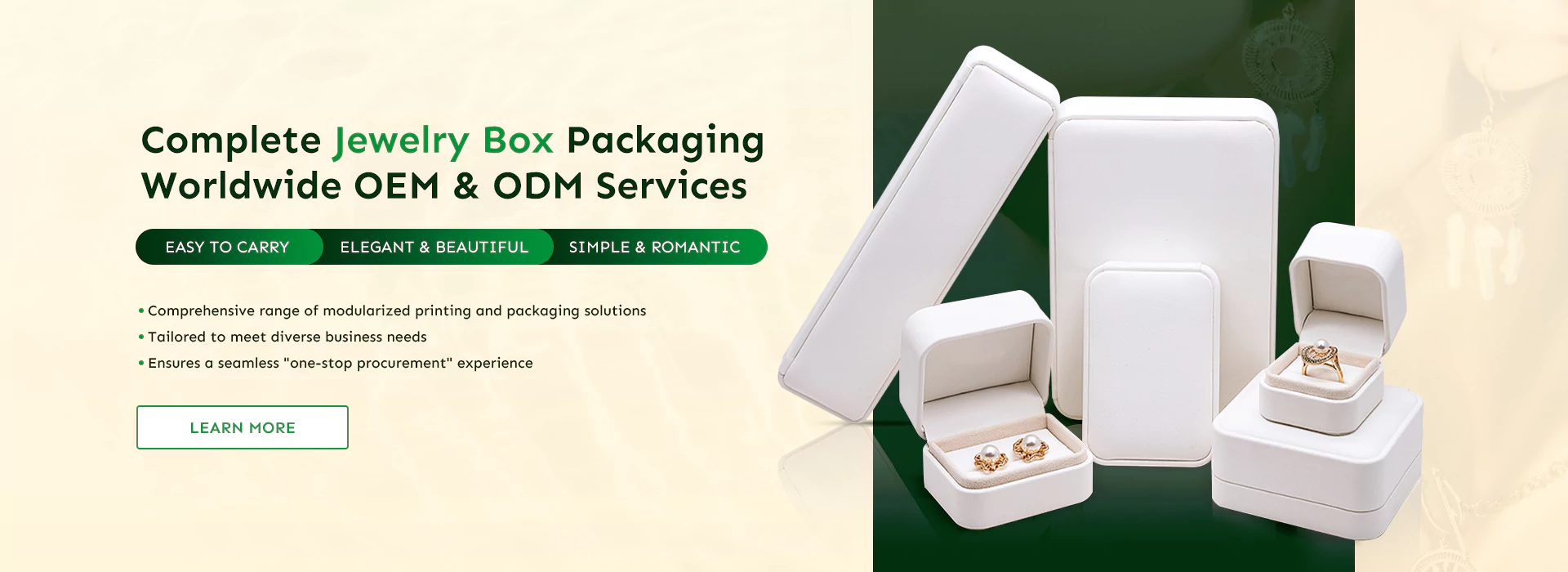 Home - banner 1 oem