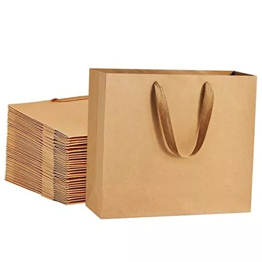 brown paper bags with handle (4)