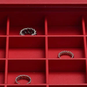 Lightweight and Easy to Carry Jewelry Tray Carrying Case with Secure Compartments - Customizable Wheeled Jewelry Case Perfect for Trade Shows and Travel - jewelry tray carring case (5)