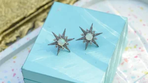 10 Best Customizable Jewelry Packaging Solutions for Standout Branding - luxury jewelry box packaging blog feature image (27)