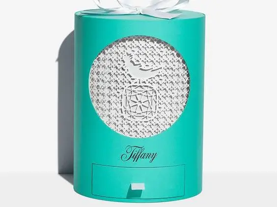Leveraging Technology to Enhance the Security Features of Jewelry Packaging - tiffany packaging for jewelry security (1)