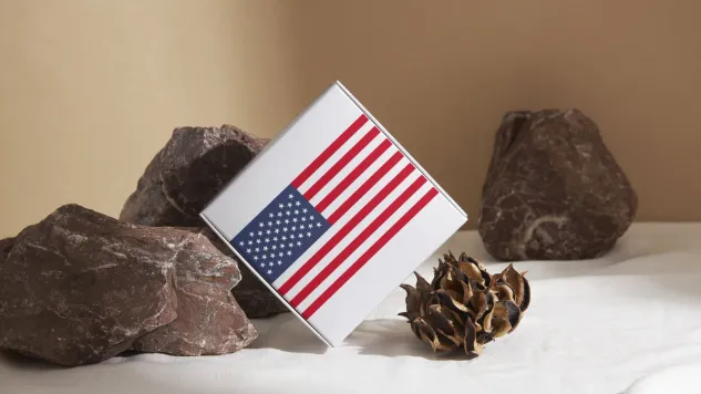 Impact of the 2024 U.S. Presidential Election: Harris vs. Trump on Jewelry Packaging and Sustainability - US jewelry box (3)