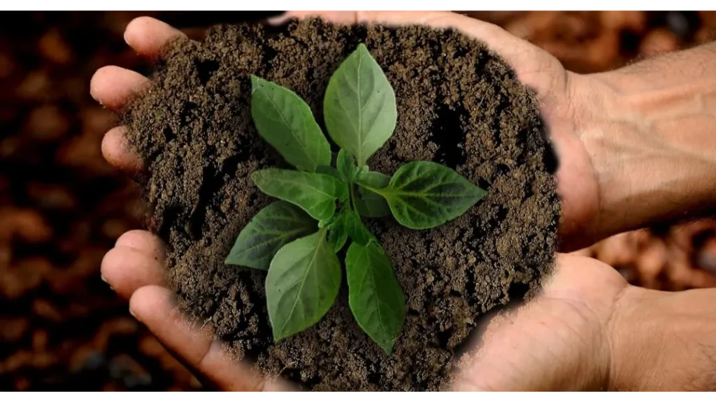 Cost-Benefit Analysis of Different Packaging Materials - brand sustainable value in packaging