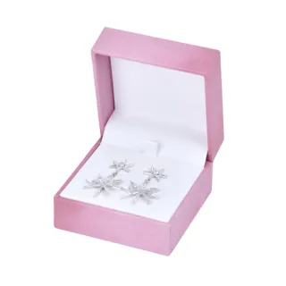 Jewelry Boxes - earrings