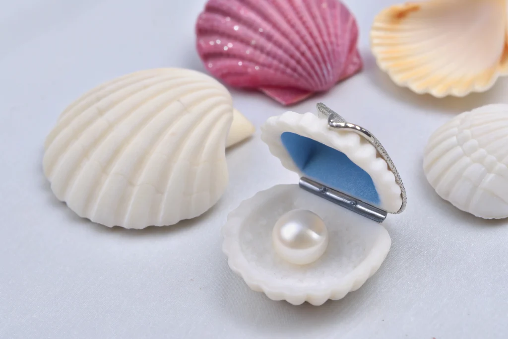 Top 25 Jewelry Box Designs for 2025: Trends Every Jeweller Should Know - shell jewelry box