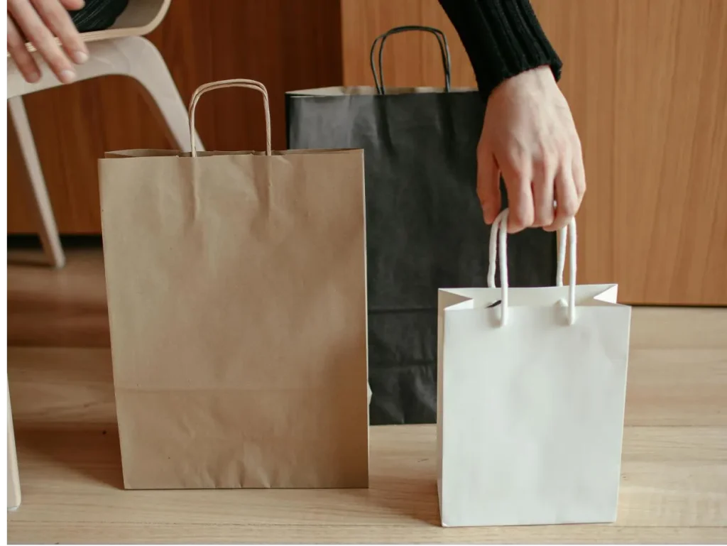 Kraft Paper Bags