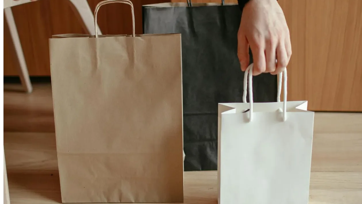 Kraft Paper Bags