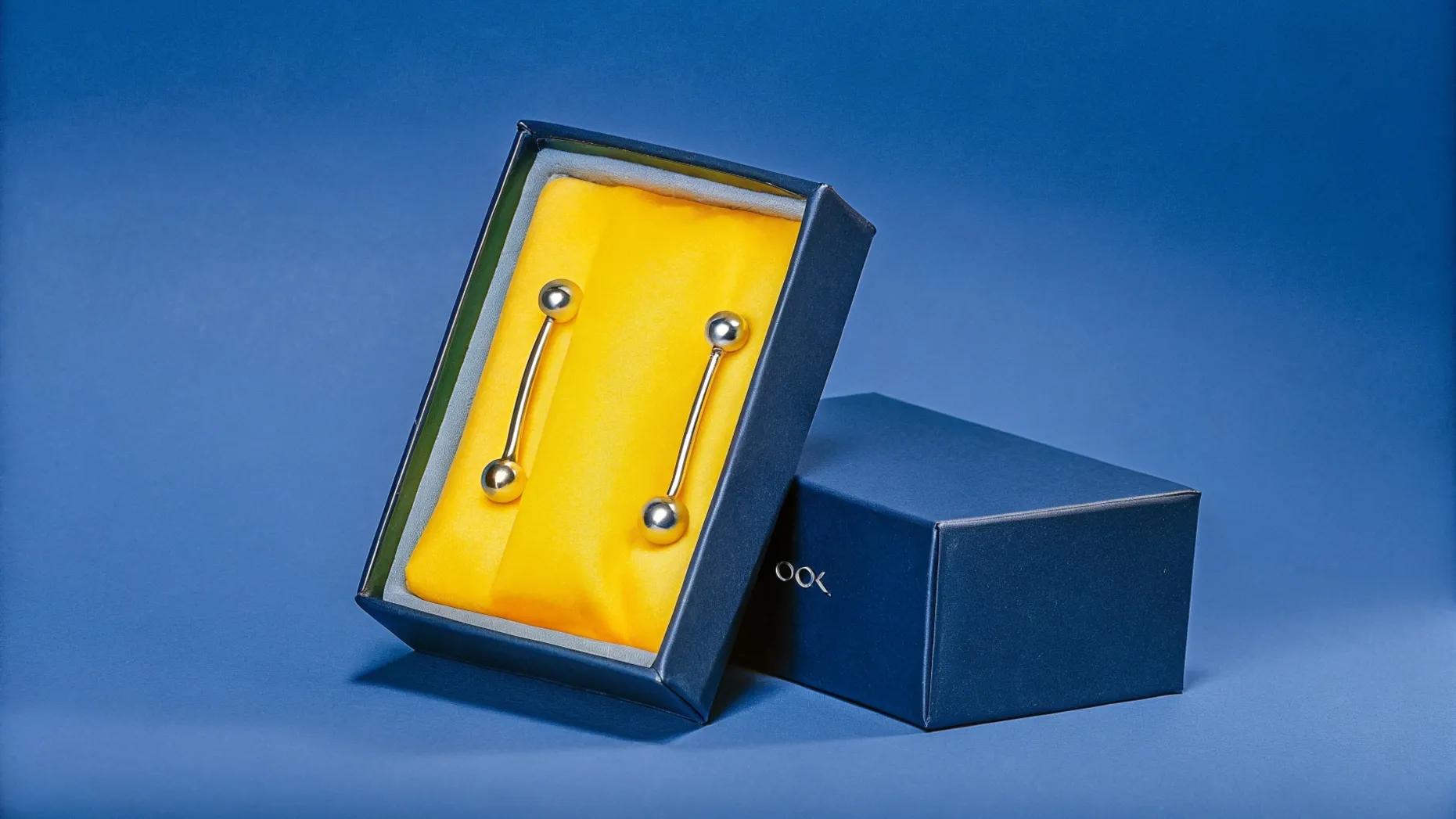rook piercing jewelry box
