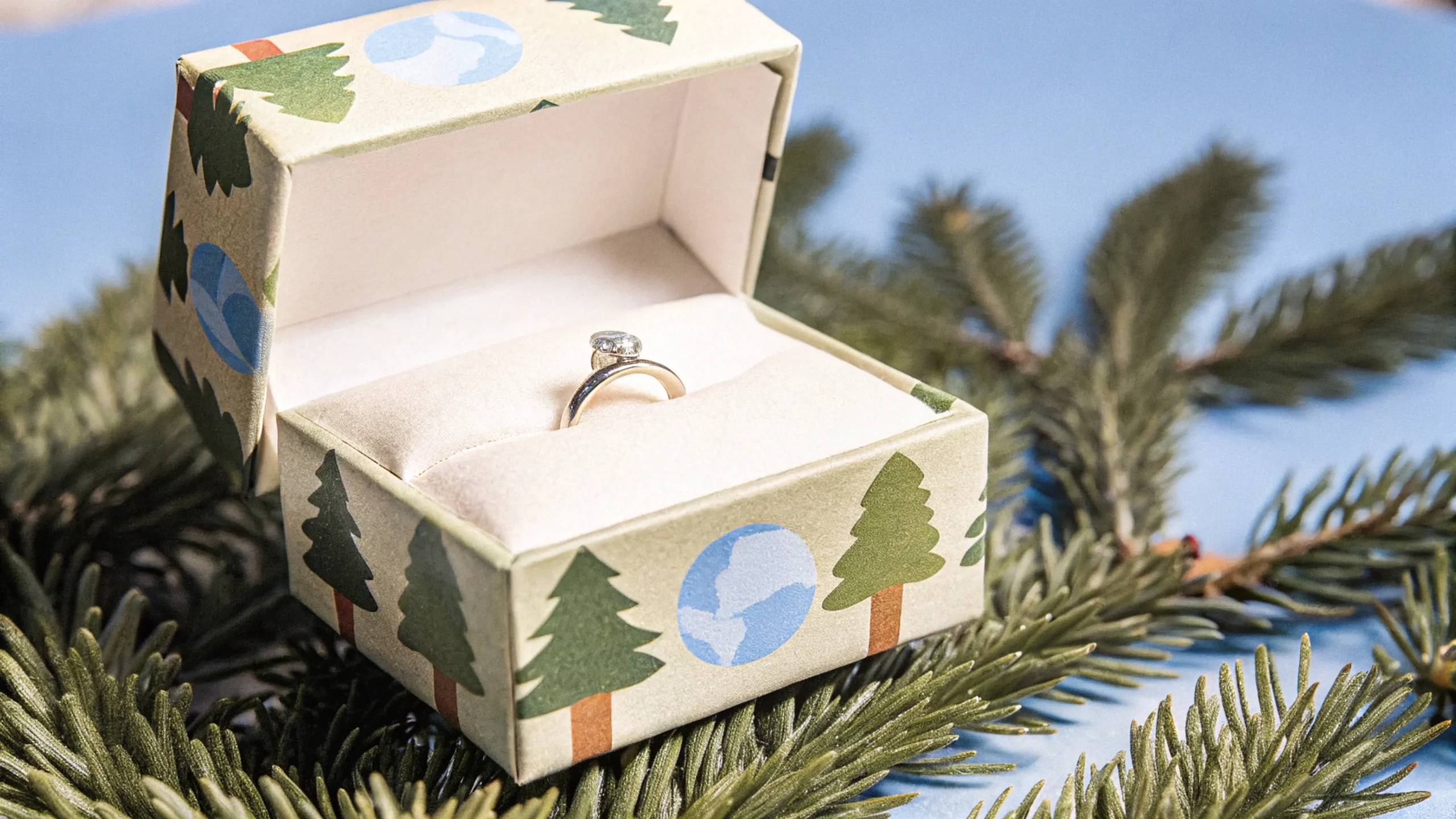 environmental ring box (1)