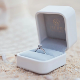 Home - jewelry box1