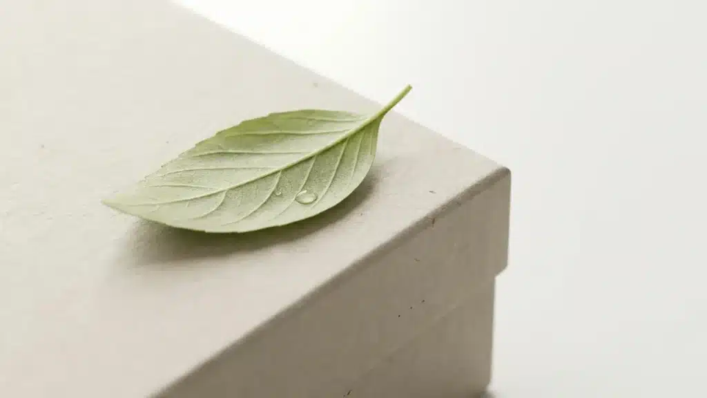green leaf on eco packaging