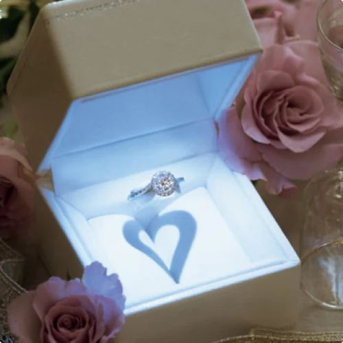 Проекти на замовлення - галерея 03