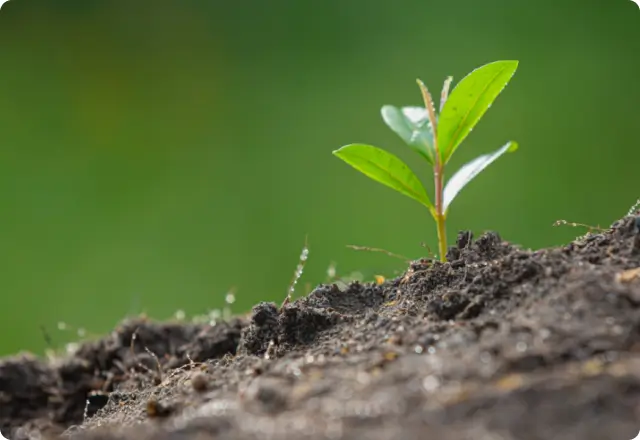 Про - img 01 Інноваційні та стійкі практики