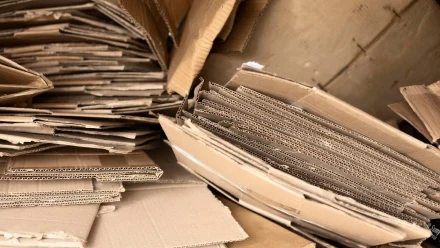 Чому ми - img 01 чому еко