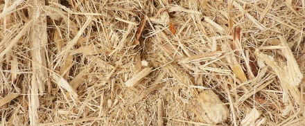 Eco Properties - img 03 Біорозкладані матеріали