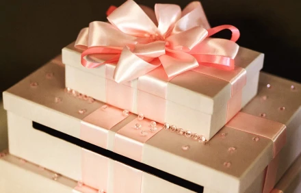 Gift Boxes - img 06 Wedding Dress Storage Boxes