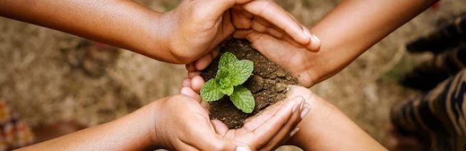 Eco Properties - img 11 Постійне вдосконалення