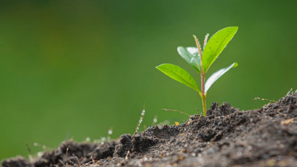 Чому ми - img csr